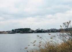 ������ ����� � �����, �����. ϳ� �������� �������� ������� ���� 1