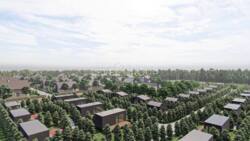 ������ �������� ������ ���� 8