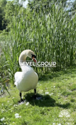 Чапаївка-Будинок з виходом до річки + ділянка 10 соток, м. Київ, Голосіївський р-н, с. Чапаєвка фото 2 Чапаївка-Будинок з виходом до річки + ділянка 10 соток, м. Київ, Голосіївський р-н, с. Чапаєвка фото 2