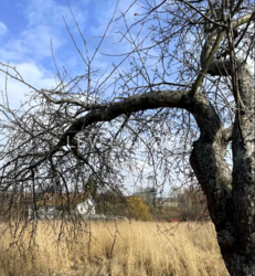 ������ �������� ������ �� �������� 25 ����� ������������ ���� 6