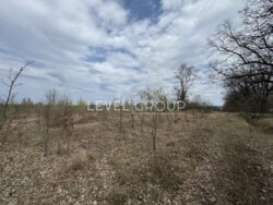 Продаж ділянки 14 га у Ходосівці фото 2 Продаж ділянки 14 га у Ходосівці фото 2