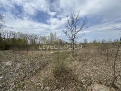 Продаж ділянки 14 га у Ходосівці фото 3 Продаж ділянки 14 га у Ходосівці фото 3