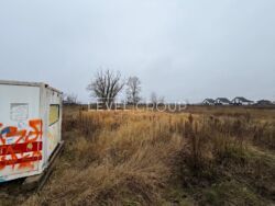 ������ �������, �����'�, �������� ������ 10 �����, ������� ���� 2