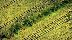 ���� ������������ 20 �� ����� ���� ���������� ����� ������� ������� ���� 4