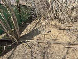 �������� 3.2 �� � ���� � ������� ���������� �����! 1 ��� ���� 14