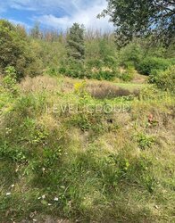 ������ �������� ������ 8, 0031�� ������� ���., �. ���� ���������, 30�� �� ���� ���� 5