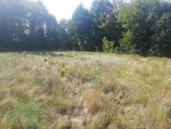   0,65 ,    -, . ,  10