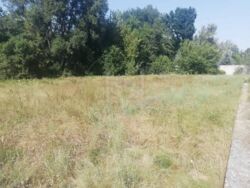   0,65 ,    -, . ,  12