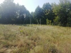   0,65 ,    -, . ,  15