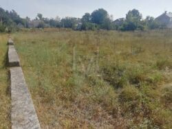   0,65 ,    -, . ,  13