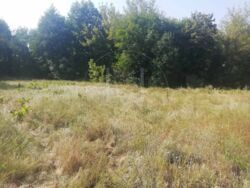   0,65 ,    -, . ,  11