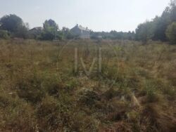   0,65 ,    -, . ,  14