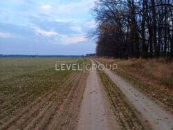 Земельна ділянка 3.02 ГА розташована в с. Забір'я Боярської громади Фастівського району Київської області фото 4 Земельна ділянка 3.02 ГА розташована в с. Забір'я Боярської громади Фастівського району Київської області фото 4