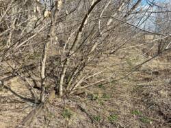 �������� 3.2 �� � ���� � ������� ���������� �����! 1 ��� ���� 13