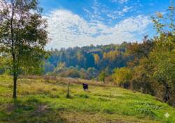 ĳ����� � �� �������� ���, ˳����� ���� 2