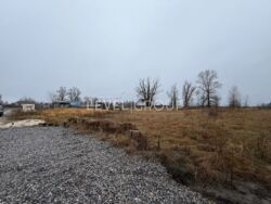 ������ �������, �����'�, �������� ������ 10 �����, ������� ���� 5