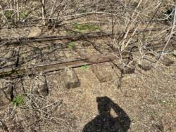 �������� 3.2 �� � ���� � ������� ���������� �����! 1 ��� ���� 12