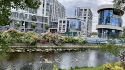 ���������! ĳ����� 5.5 ����� � 10 �� ���� �� ����� �������� ���� 21