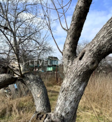 ������ �������� ������ �� �������� 25 ����� ������������ ���� 4