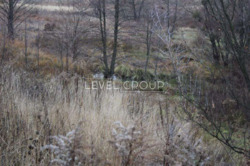 ��������� ������ ��� ����������, �����������, ������� ���� 7