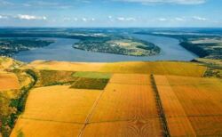 ���� ������������ 20 �� ����� ���� ���������� ����� ������� ������� ���� 1