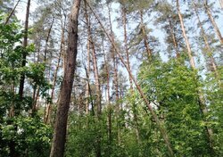 ��������� ������ ����������� ���., ���, ����������, ������������, �. ������������� ���� 10