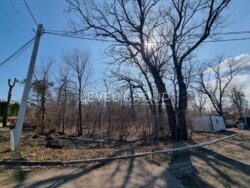 ������� ��� ���������� �������, �������, ���, ������ ���� 5