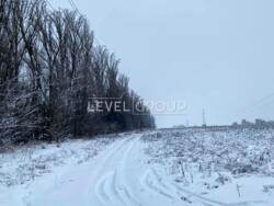 ����������� ������� �������� ������ �� �������� ���� 4