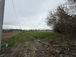 ������ �������� ������/�������, 9 �����, �������/����� ���� ���� 12