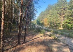 �������� ������ 2, 5��. ����� (������), ���� 3