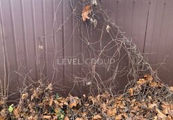 Ділянка на Синеозерній, фасад з видом на ліс; 6 соток. фото 7 Ділянка на Синеозерній, фасад з видом на ліс; 6 соток. фото 7