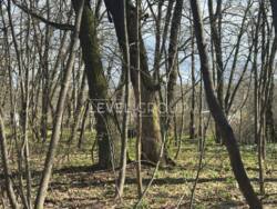 ������ �������� ������ 10 ����� �� �������� ��� Ⓙ��� � ��� ����������� ����� ���� 6