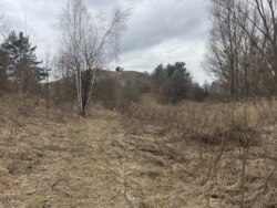 Продаж унікальної земельної ділянки під базу відпочинку або котеджне містечко | Старі Безрадичі фото 3 Продаж унікальної земельної ділянки під базу відпочинку або котеджне містечко | Старі Безрадичі фото 3