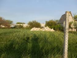 � ������ �������� ������ ��� ����, ���� ������� ���� 7