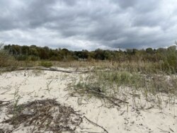 Продаж ділянки рекреаційного призначення, база відпочинку, с. Лебедівка, Вишгородський р-н фото 3 Продаж ділянки рекреаційного призначення, база відпочинку, с. Лебедівка, Вишгородський р-н фото 3