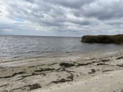 Продаж ділянки рекреаційного призначення, база відпочинку, с. Лебедівка, Вишгородський р-н фото 6 Продаж ділянки рекреаційного призначення, база відпочинку, с. Лебедівка, Вишгородський р-н фото 6