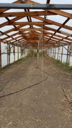 Продаж 10га фасад, комерція, с. Крюковщина. фото 7 Продаж 10га фасад, комерція, с. Крюковщина. фото 7