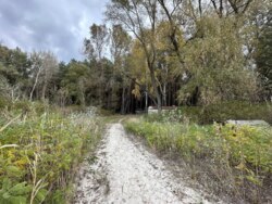 Продаж ділянки рекреаційного призначення, база відпочинку, с. Лебедівка, Вишгородський р-н фото 5 Продаж ділянки рекреаційного призначення, база відпочинку, с. Лебедівка, Вишгородський р-н фото 5