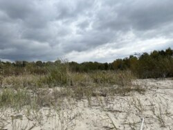 Продаж ділянки рекреаційного призначення, база відпочинку, с. Лебедівка, Вишгородський р-н фото 2 Продаж ділянки рекреаційного призначення, база відпочинку, с. Лебедівка, Вишгородський р-н фото 2