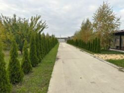 Продаж 10га фасад, комерція, с. Крюковщина. фото 33 Продаж 10га фасад, комерція, с. Крюковщина. фото 33