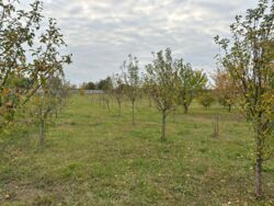 Продаж 10га фасад, комерція, с. Крюковщина. фото 32 Продаж 10га фасад, комерція, с. Крюковщина. фото 32