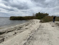 Продаж ділянки рекреаційного призначення, база відпочинку, с. Лебедівка, Вишгородський р-н фото 9 Продаж ділянки рекреаційного призначення, база відпочинку, с. Лебедівка, Вишгородський р-н фото 9