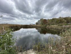 Продаж ділянки рекреаційного призначення, база відпочинку, с. Лебедівка, Вишгородський р-н фото 15 Продаж ділянки рекреаційного призначення, база відпочинку, с. Лебедівка, Вишгородський р-н фото 15
