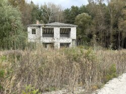 Продаж ділянки рекреаційного призначення, база відпочинку, с. Лебедівка, Вишгородський р-н фото 14 Продаж ділянки рекреаційного призначення, база відпочинку, с. Лебедівка, Вишгородський р-н фото 14