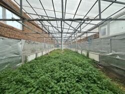 Продаж 10га фасад, комерція, с. Крюковщина. фото 9 Продаж 10га фасад, комерція, с. Крюковщина. фото 9