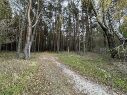 Продаж ділянки рекреаційного призначення, база відпочинку, с. Лебедівка, Вишгородський р-н фото 12 Продаж ділянки рекреаційного призначення, база відпочинку, с. Лебедівка, Вишгородський р-н фото 12