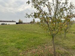 Продаж 10га фасад, комерція, с. Крюковщина. фото 34 Продаж 10га фасад, комерція, с. Крюковщина. фото 34