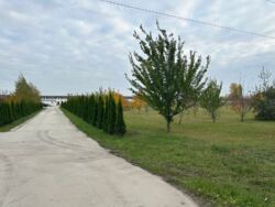 Продаж 10га фасад, комерція, с. Крюковщина. фото 37 Продаж 10га фасад, комерція, с. Крюковщина. фото 37