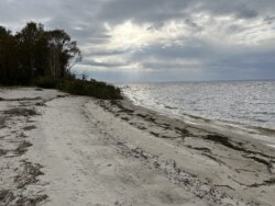 Продаж ділянки рекреаційного призначення, база відпочинку, с. Лебедівка, Вишгородський р-н фото 7 Продаж ділянки рекреаційного призначення, база відпочинку, с. Лебедівка, Вишгородський р-н фото 7