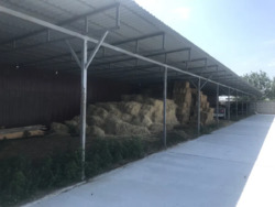 Продаж 10га фасад, комерція, с. Крюковщина. фото 4 Продаж 10га фасад, комерція, с. Крюковщина. фото 4